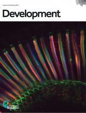 Cover of Development, featuring study using the protocol.