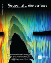 Cover of The Journal of Neuroscience, featuring study using the protocol.