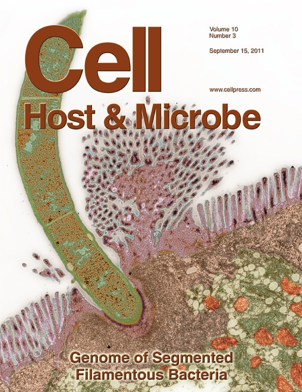 Cover of Cell Host & Microbe, featuring study using the protocol.