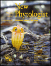 Cover of New Phytologist, featuring study using the protocol.
