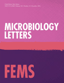 Cover of FEMS Microbiology Letters, featuring study using the protocol.