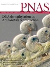 Cover of Proceedings of the National Academy of Sciences of the United States of America, featuring study using the protocol.