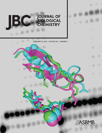 Cover of The Journal of Biological Chemistry, featuring study using the protocol.