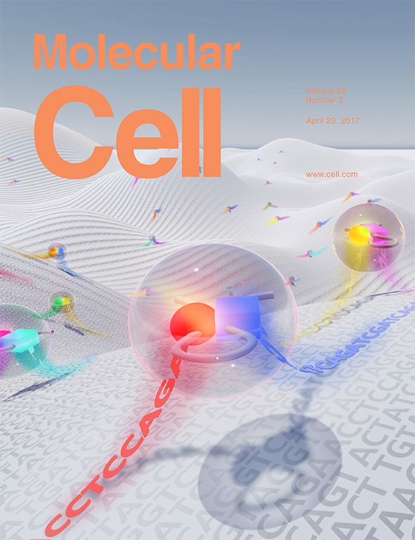Cover of Molecular Cell, featuring study using the protocol.