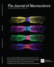 Cover of The Journal of Neuroscience, featuring study using the protocol.