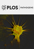 Cover of PLOS Pathogens, featuring study using the protocol.