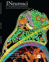 Cover of The Journal of Neuroscience, featuring study using the protocol.