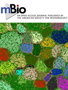 Cover of mBio, featuring study using the protocol.