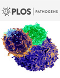 Cover of PLOS Pathogens, featuring study using the protocol.