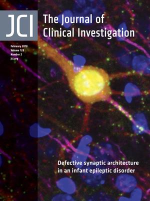 Cover of The Journal of Clinical Investigation, featuring study using the protocol.