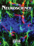 Cover of Neuroscience, featuring study using the protocol.