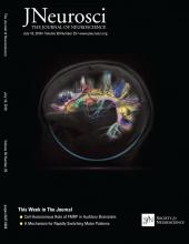 Cover of The Journal of Neuroscience, featuring study using the protocol.