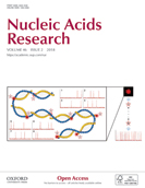 Cover of Nucleic Acids Research, featuring study using the protocol.
