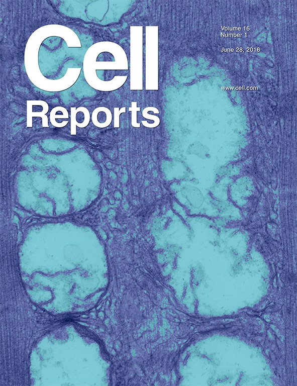 Cover of Cell Reports, featuring study using the protocol.