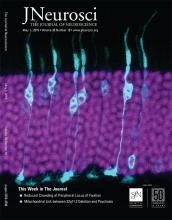 Cover of The Journal of Neuroscience, featuring study using the protocol.