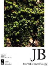 Cover of Journal of Bacteriology, featuring study using the protocol.