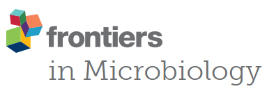 Cover of Frontiers in Microbiology, featuring study using the protocol.