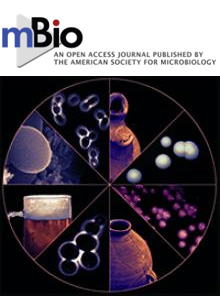 Cover of mBio, featuring study using the protocol.