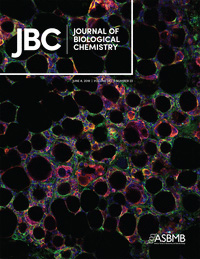 Cover of The Journal of Biological Chemistry, featuring study using the protocol.