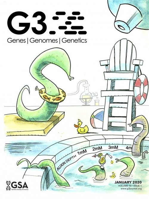 Cover of G3: GENES, GENOMES, GENETICS, featuring study using the protocol.