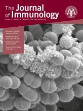 Cover of The Journal of Immunology, featuring study using the protocol.