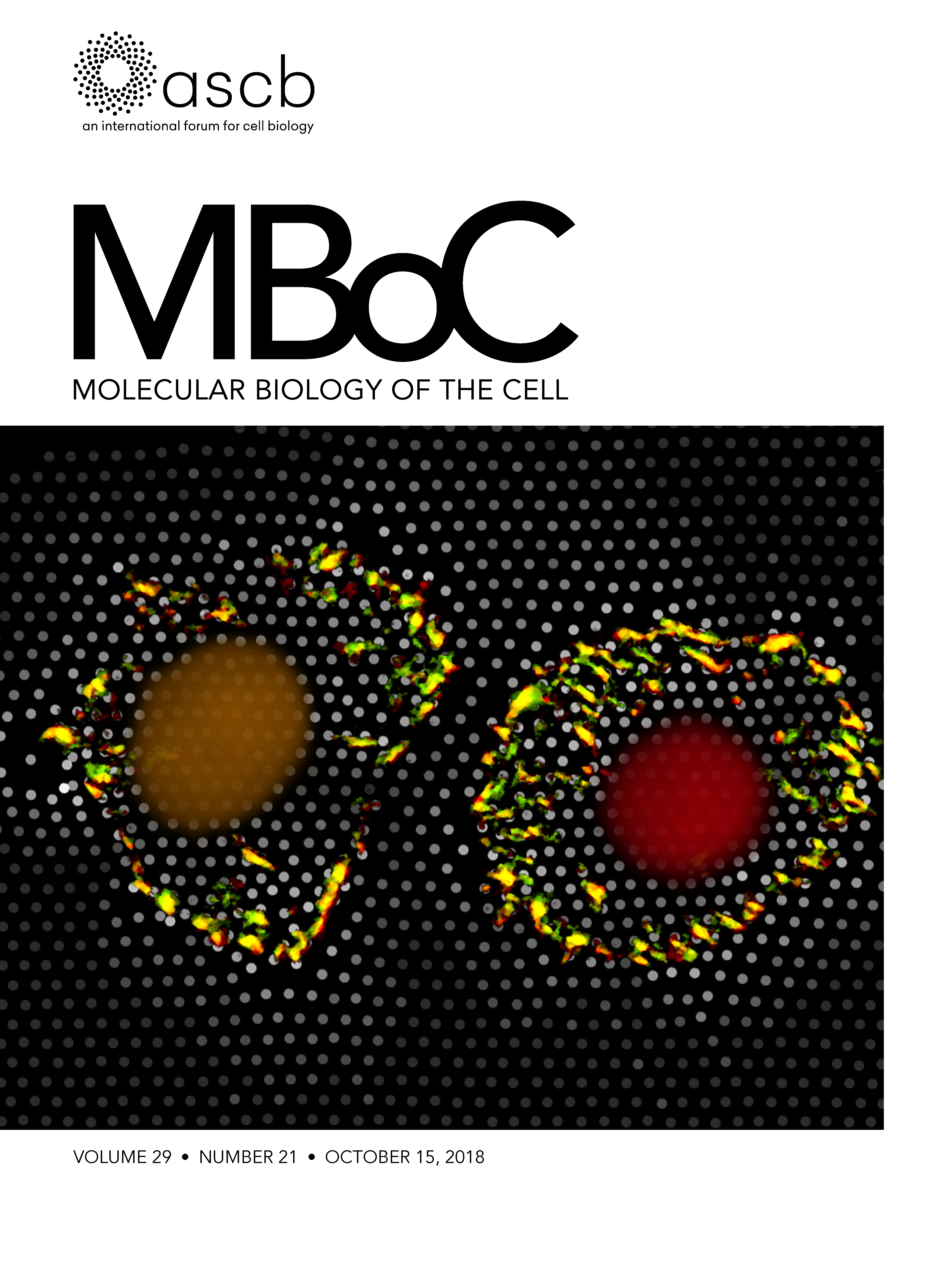 Cover of Molecular Biology of the Cell, featuring study using the protocol.