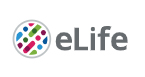 Cover of eLIFE, featuring study using the protocol.