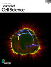 Cover of Journal of Cell Science, featuring study using the protocol.