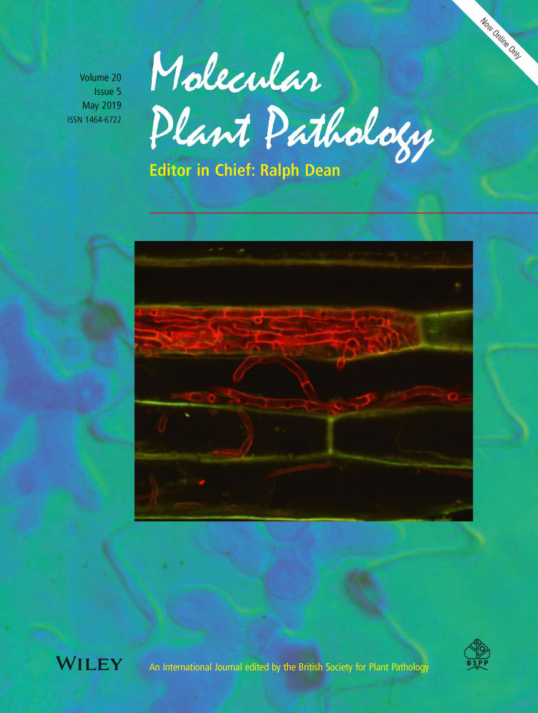 Cover of Molecular Plant Pathology, featuring study using the protocol.