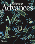 Cover of Science Advances, featuring study using the protocol.
