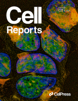 Cover of Cell Reports, featuring study using the protocol.