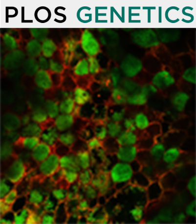 Cover of PLOS Genetics, featuring study using the protocol.
