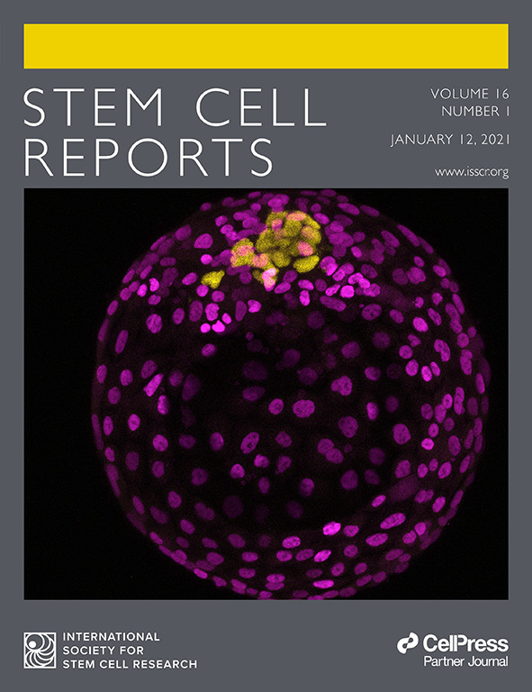 Cover of Stem Cell Reports, featuring study using the protocol.
