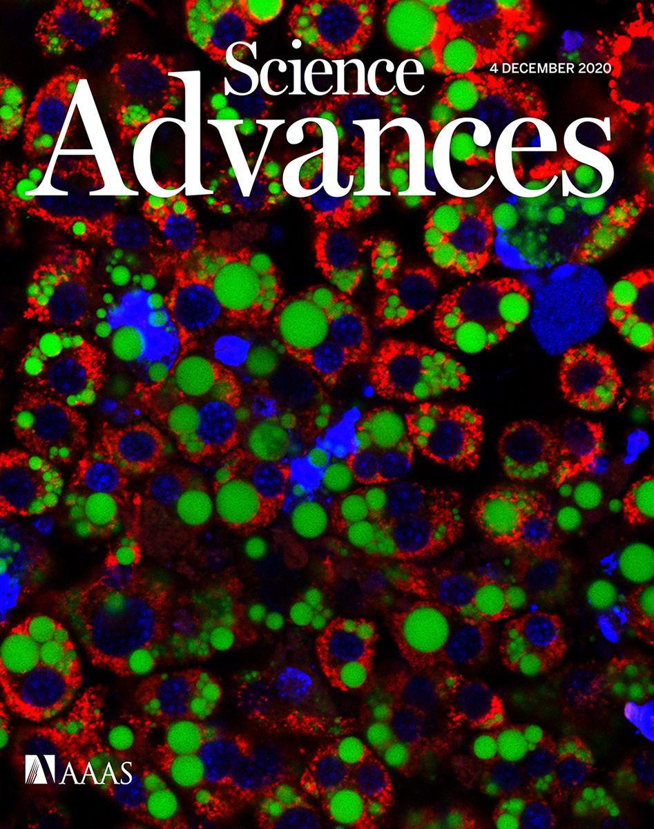 Cover of Science Advances, featuring study using the protocol.