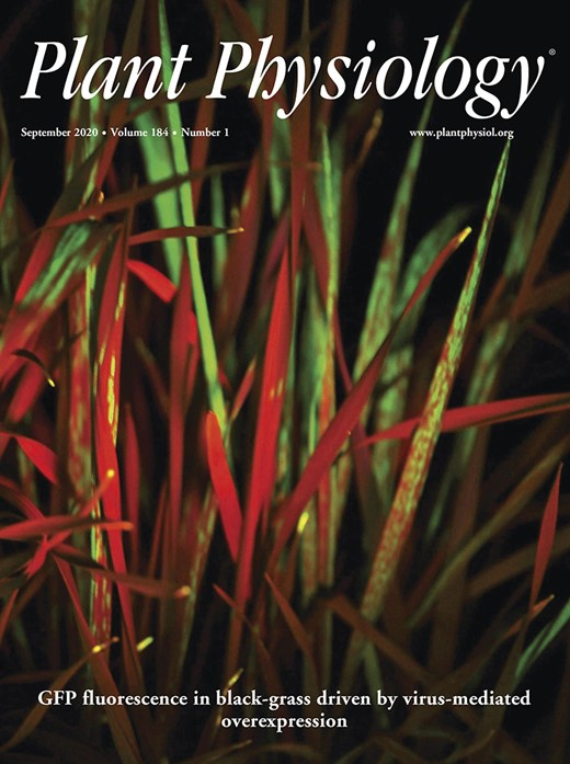 Cover of Plant Physiology, featuring study using the protocol.