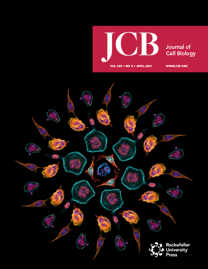 Cover of The Journal of Cell Biology, featuring study using the protocol.