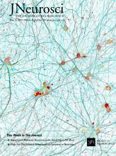 Cover of The Journal of Neuroscience, featuring study using the protocol.