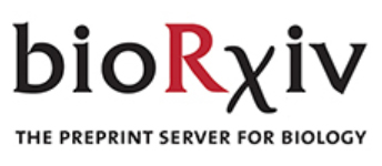 Cover of bioRxiv, featuring study using the protocol.