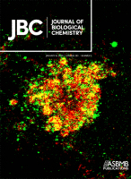 Cover of The Journal of Biological Chemistry, featuring study using the protocol.