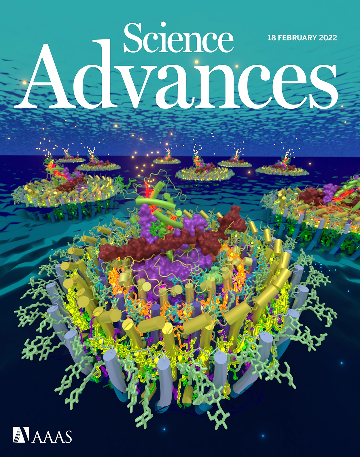 Cover of Science Advances, featuring study using the protocol.