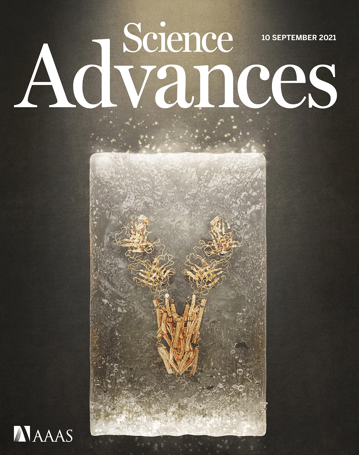 Cover of Science Advances, featuring study using the protocol.