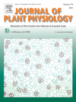 Cover of Plant Physiology, featuring study using the protocol.