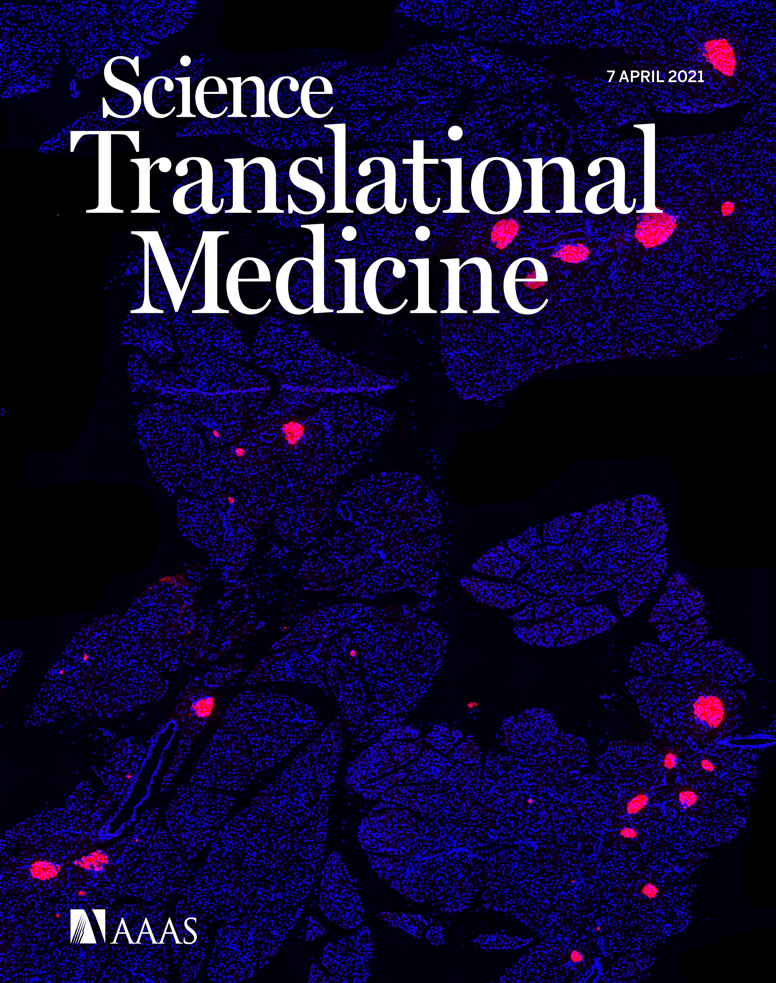 Cover of Science Translational Medicine, featuring study using the protocol.