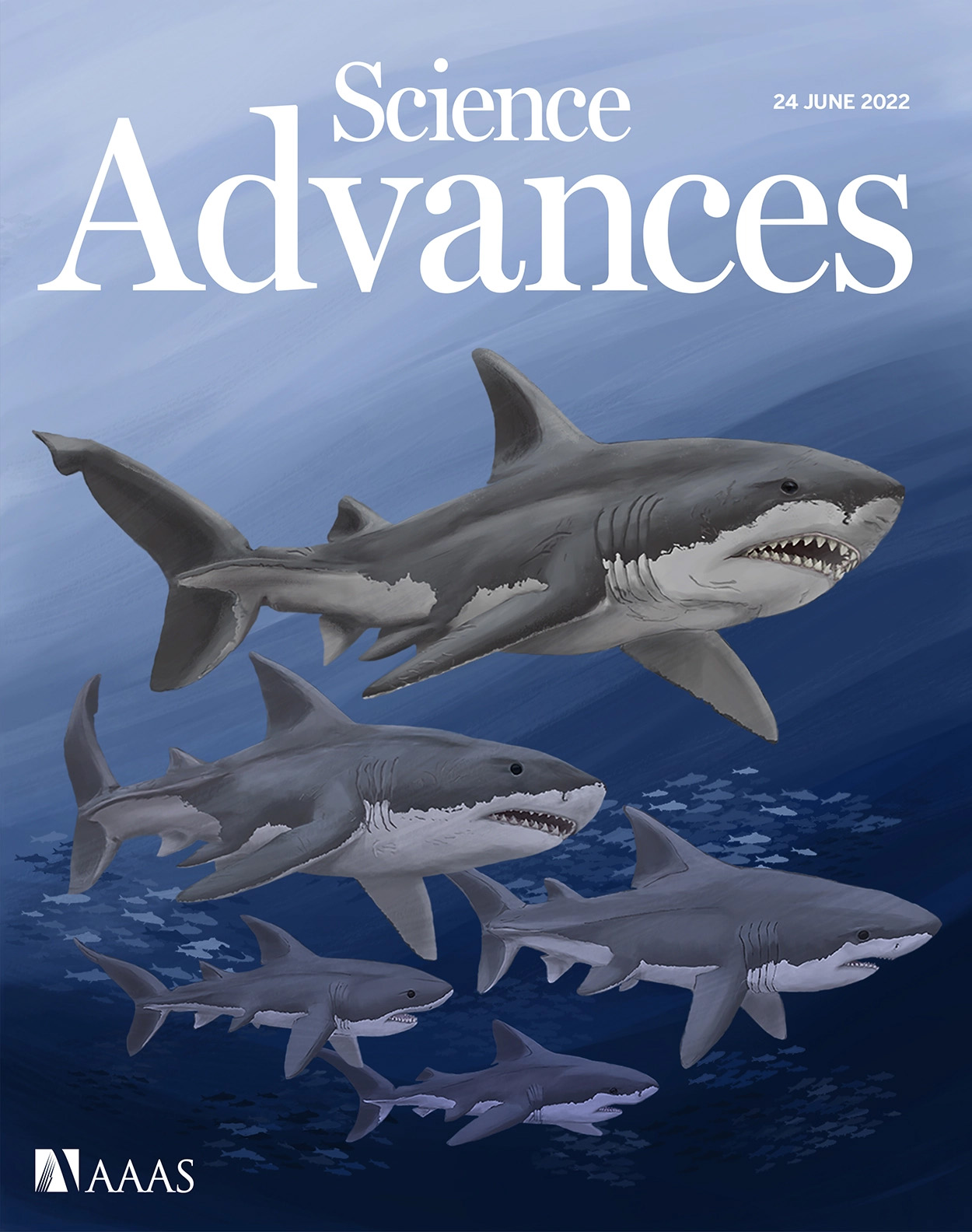 Cover of Science Advances, featuring study using the protocol.