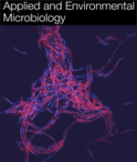 Cover of Applied and Environmental Microbiology, featuring study using the protocol.