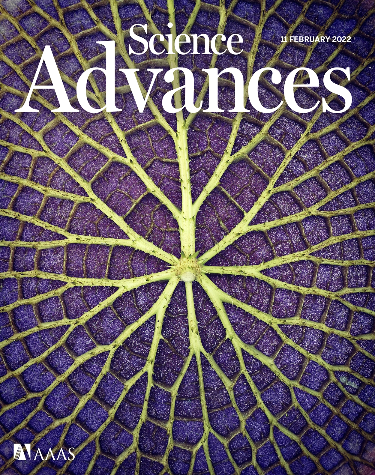 Cover of Science Advances, featuring study using the protocol.
