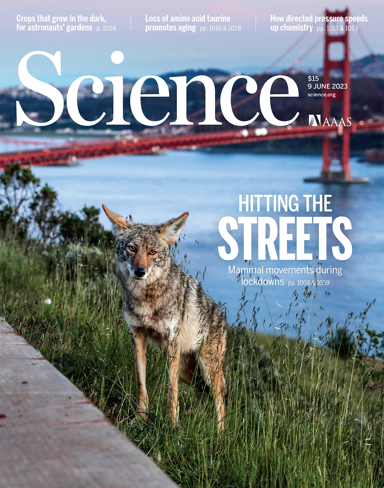 Cover of Science, featuring study using the protocol.