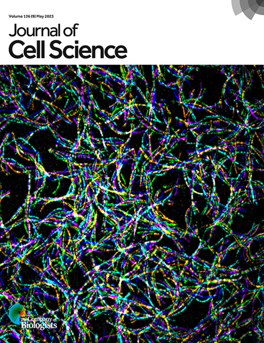 Cover of Journal of Cell Science, featuring study using the protocol.